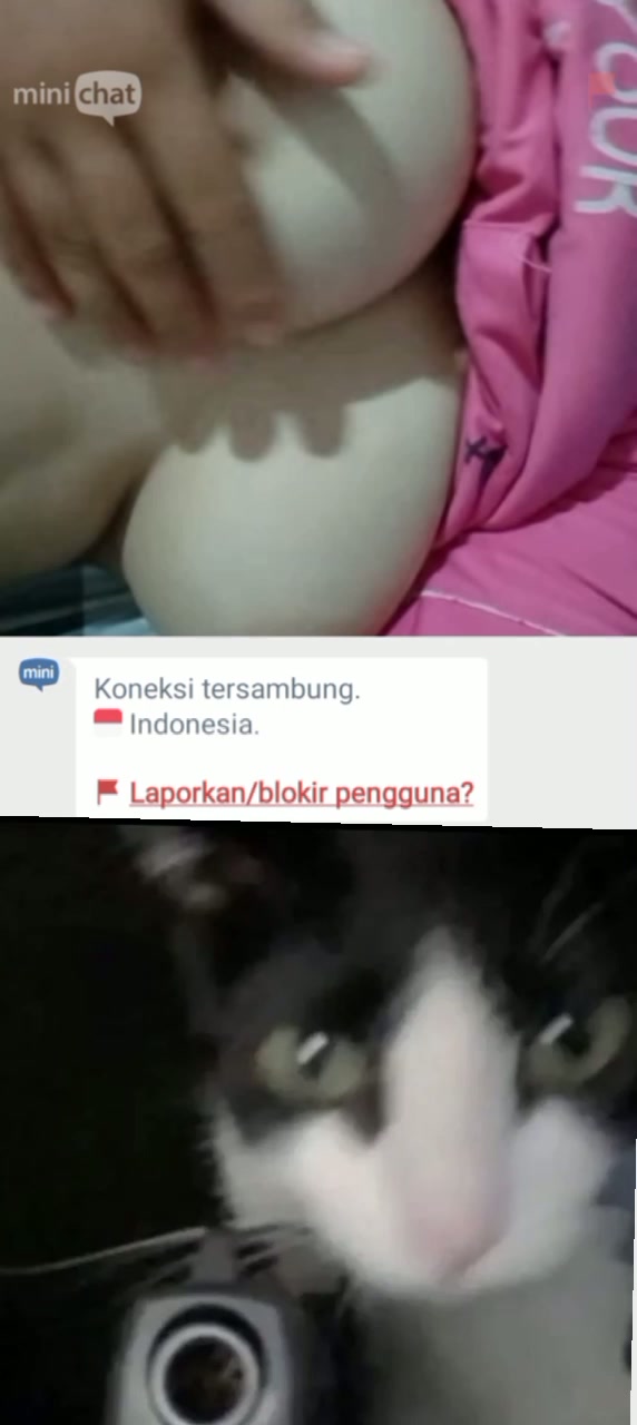 VID_20240702_221047_325.mp4